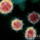 삼다사우나 이미지