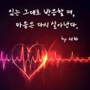 251212. 묵상글 ( 대림 제2주간 금요일. - 지혜는 덧셈이고 어리석음은 뺄셈이다. 배움의 사랑, 배움의 여정 . 등 ) 이미지