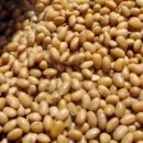 장정농장 이미지