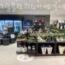 제너럴플라워&카페