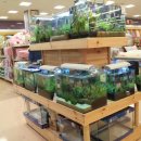 롯데마트 부평점(수족관) 이미지