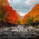 *****제주단풍절정-억새 2박3일*****25년 10월31일(금)-11월2일(일) 이미지