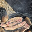 케렌시아 | 🌸춘천펜션 추천｜케렌시아펜션 춘천 벚꽃뷰 감성 숙소 후기 (재방문!)