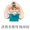 도마비투비 | 말투는멍청한듯몸맨뚱띠뚱띠요