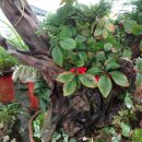 광주양지병원 이미지