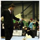 그리시아 화이트 매직 이미지