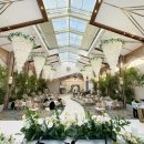 더포레D 이미지