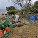 단양군 농업기술센터 이미지