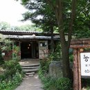 숲속의 빈터 이미지