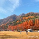 운일암반일암국민여가캠핑장 이미지
