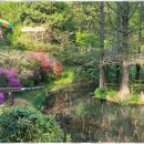 쉼펜션민박 이미지