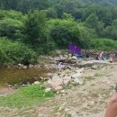 금천식당 이미지