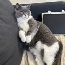 [OGQ 크리에이터] 네이버 OGQ마켓 스티커 첫 승인 후기 (수익, 승인기간)