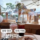 대경로 소나무 | [경북:영천] 8월1일 신규 오픈한 경북 영천 한옥 카페 솔직 리뷰_곡선커피