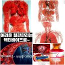 네트워크마케팅은 교육 및 복제 사업이다. / 성공의 8단계 이미지