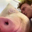 돼지세상 이미지