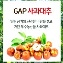 영농조합법인 홍천명품한과 | 천황대추 어반팜오브홍천 맘에 쏙 드는 홍천사과대추 예약하기 가을 제철 과일 효능