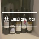 호주 시드니 와인 추천 보틀샵 레드보틀 구매 후기