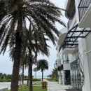 오션스파 이미지