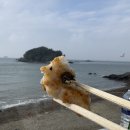 규암농협 밤유통센터 | 인천 선재도 마작펜션, 먹다 끝난 힐링 오션뷰 바베큐 (마트, 회센터 정보)