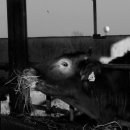 현대미술관 상설 전시 이미지