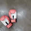 이재일복싱 이미지