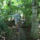 노티농장 이미지