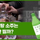 [Why요?] 무설탕 소주는 살 안 찔까? 이미지