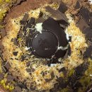 CU 주문진수복점 | 퇴사 : 9월의 필수템