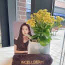 인셀덤서울본부평택점