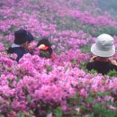 용반마을 주차장 이미지