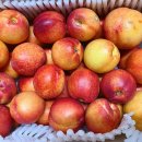 늘푸른영농조합법인 이미지