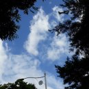 유월부동산중개 이미지