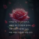 [마인드] 오십 이후 읽고 필사하면 인생이 좀 더 선명해지는 글 이미지
