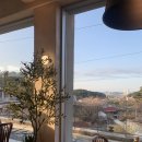 모안펜션 | 강릉뷰맛집, 강릉맛집 모안레스토랑 가족모임 후기[내돈내산]