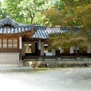 비원