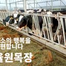 율원목장 이미지