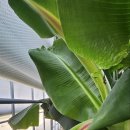 김태진농장 이미지