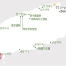 조광약국 이미지