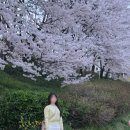 찐스푸드