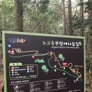 노고록이 | [제주도] 산책하기 좋은: 치유의숲 노고록숲길