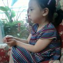 예슬유치원 이미지