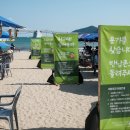 그리트 뉴스1