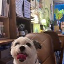 문정고등학교 문정근린공원앞 이미지