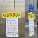 충남공주맛집 공주여행코스에 넣으면 좋을 중앙분식에서 비빔만두, 즉떡 후기
