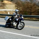 엽돈제약수터 이미지