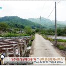 상주문경교차로