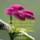 장수헬스클럽 이미지