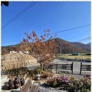 느린 오후가 있는 집 이미지