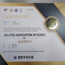 청라합기도;격투기